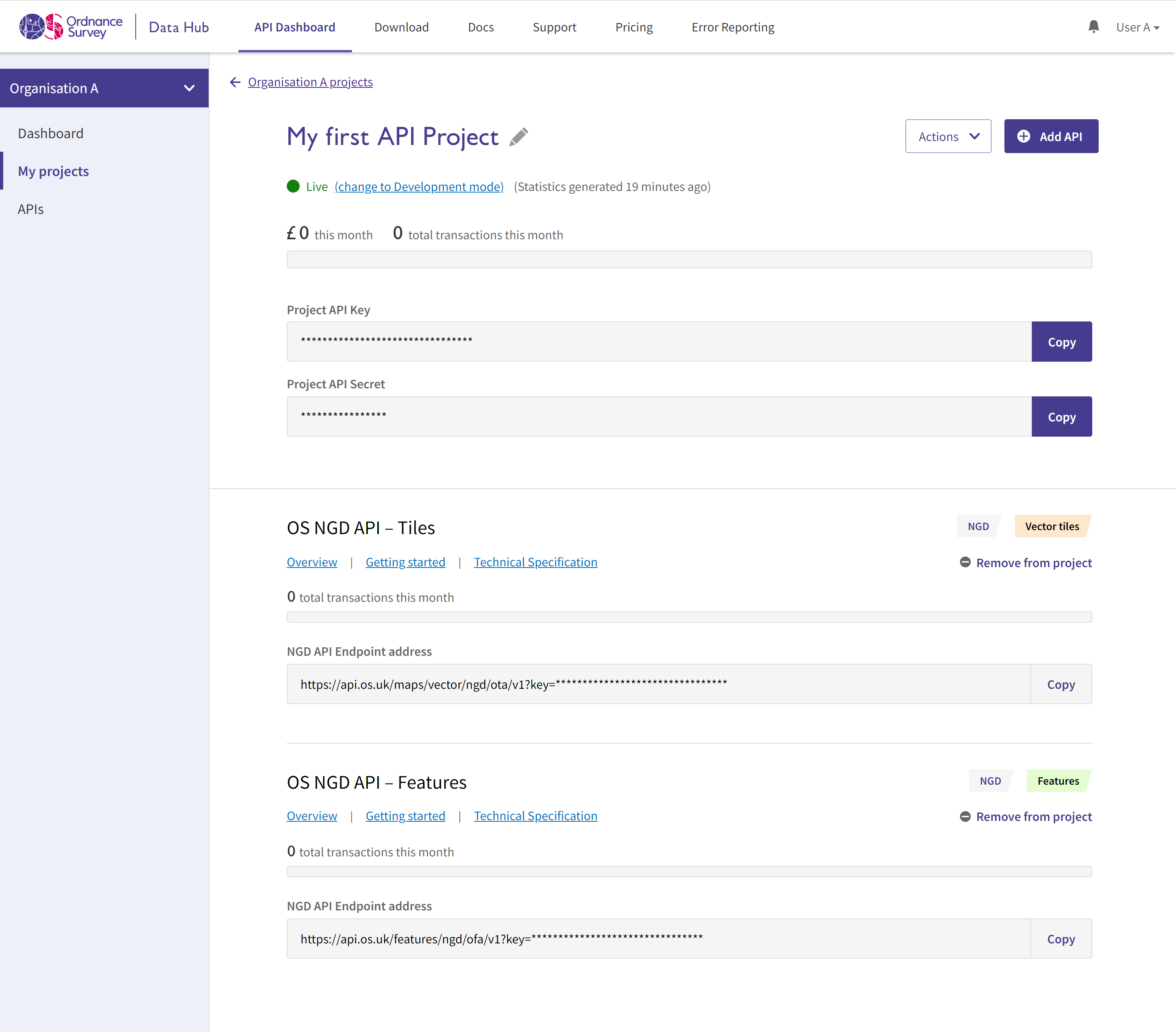 Example API Dashboard showing project page