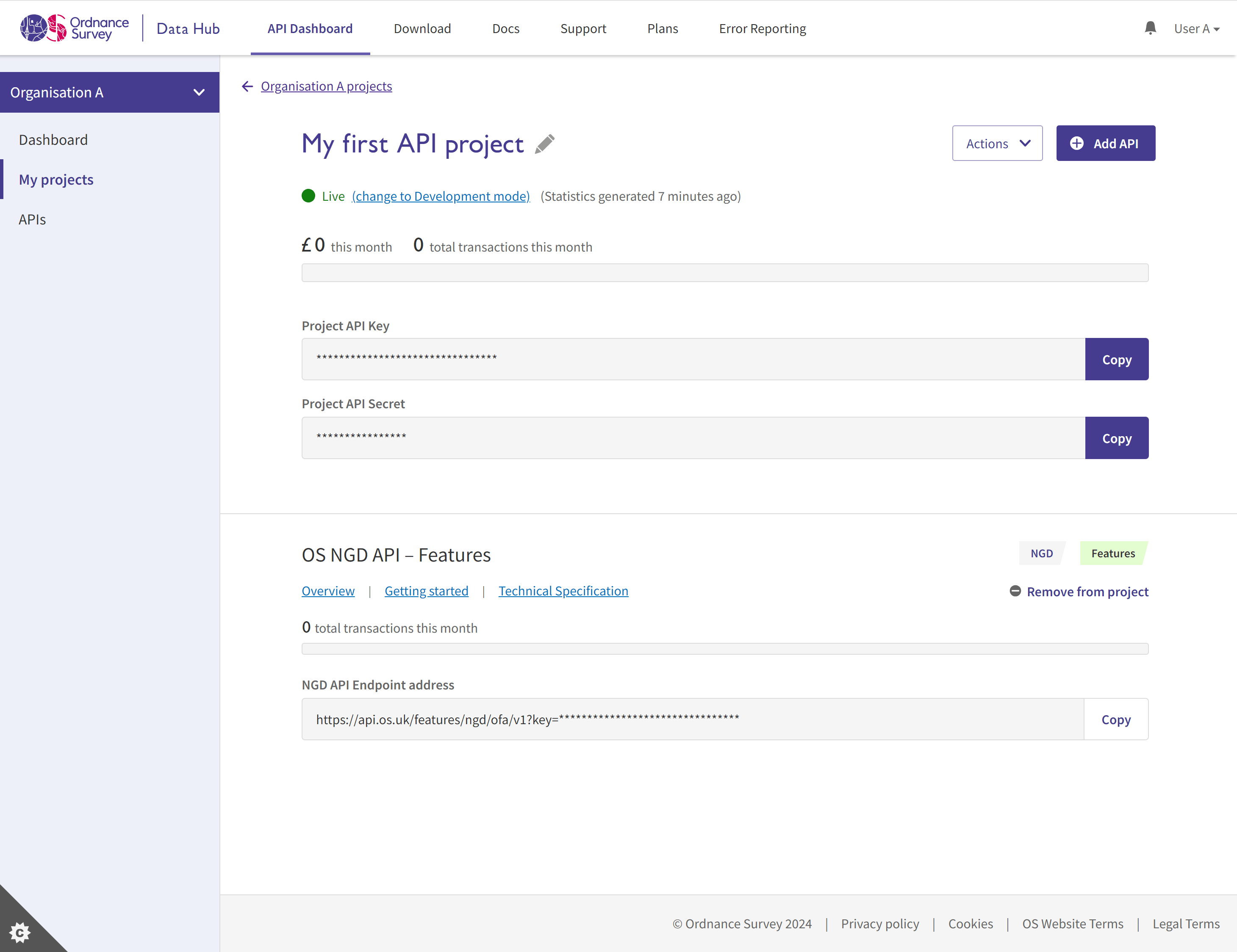 Example API Dashboard showing project page
