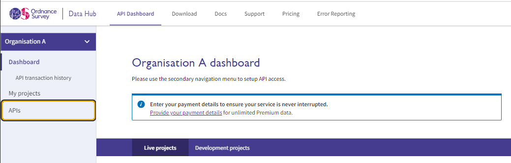 Example API Dashboard highlighting APIs link in secondary navigation